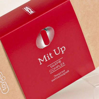 39176-20250616-02060030